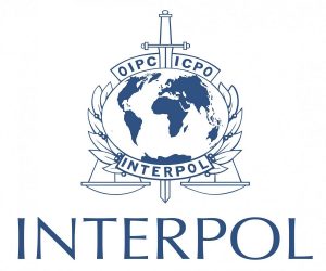 INTERPOL Arrests 651 Cybercrime Suspects, Recovers $4.3m Across Africa