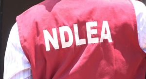 NDLEA Declares Total War on Drug Cartels in 2026