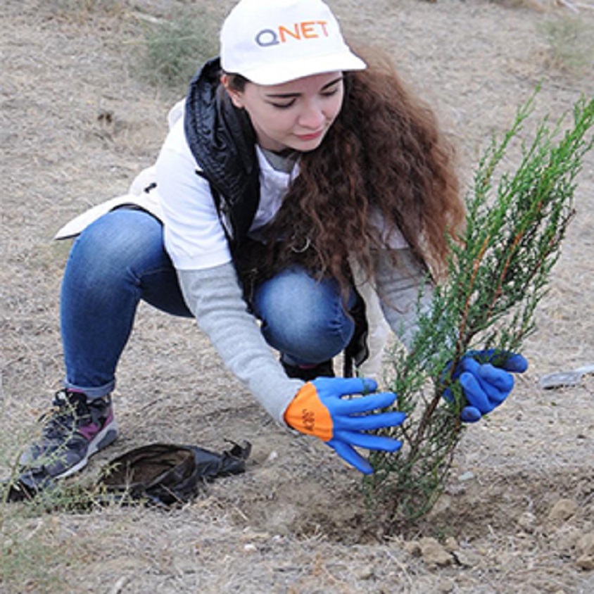 Qnet-tree-planting