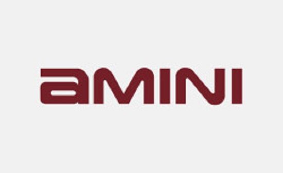 Amini