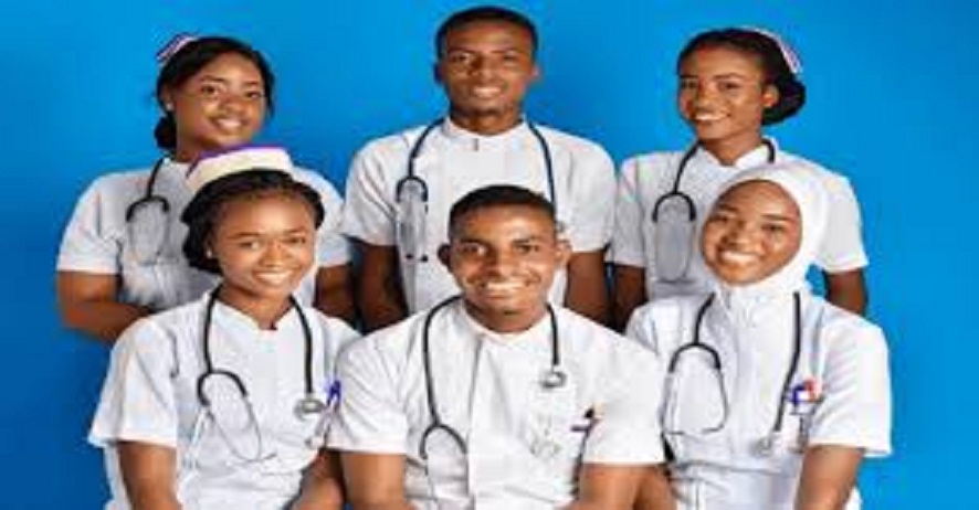 National Association of Nigeria Nurses and Midwives (NANNM)