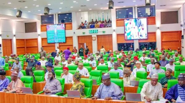 Members of the House of Representatives during plenary as lawmakers consider constitutional amendment for state police in Nigeria.