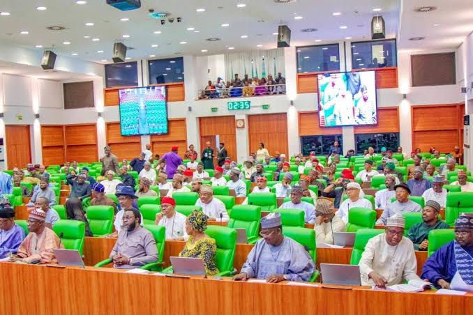 Members of the House of Representatives during plenary as lawmakers consider constitutional amendment for state police in Nigeria.