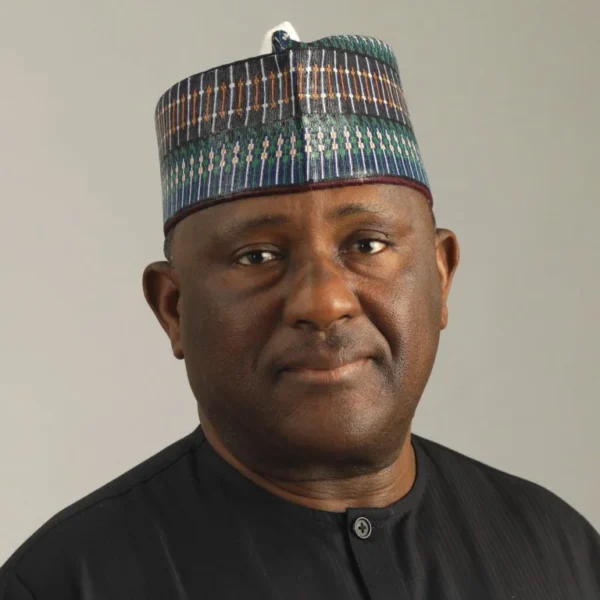 BUA Chairman