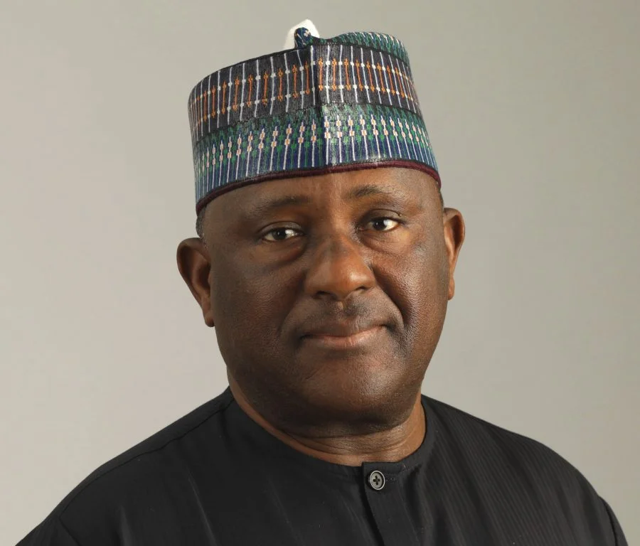 BUA Chairman