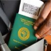 Nigerian Immigration