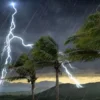 Nimet