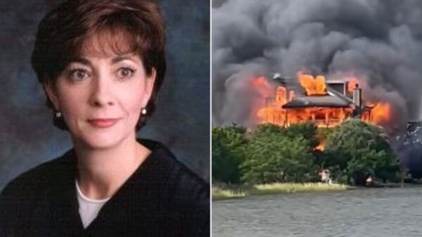 Judge Diane Goodstein