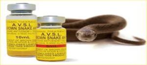 Anti-Snake Venom Crisis Deepens: N250,000 Price Tag Pushes Victims to Brink as Gombe Specialist Hospital Sounds Alarm