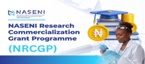 Universities, Polytechnics Submit 169 Entries for NASENI Research Commercialisation Grants