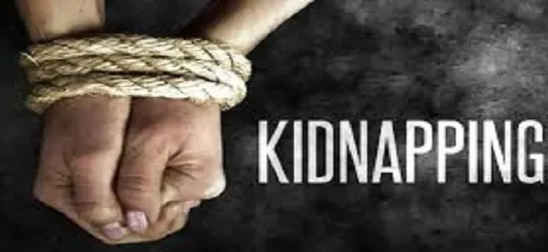 Kidnappers