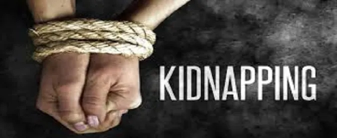 Kidnappers