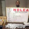 NDLEA