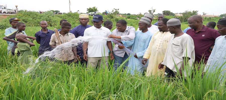 NASENI