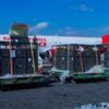 Kenya Airways to Transports over 50 Cows from Nairobi to Lagos