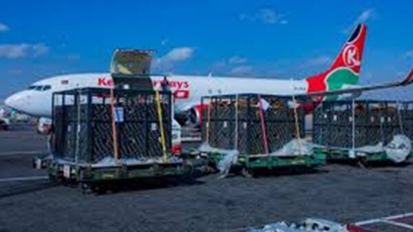 Kenya Airways to Transports over 50 Cows from Nairobi to Lagos