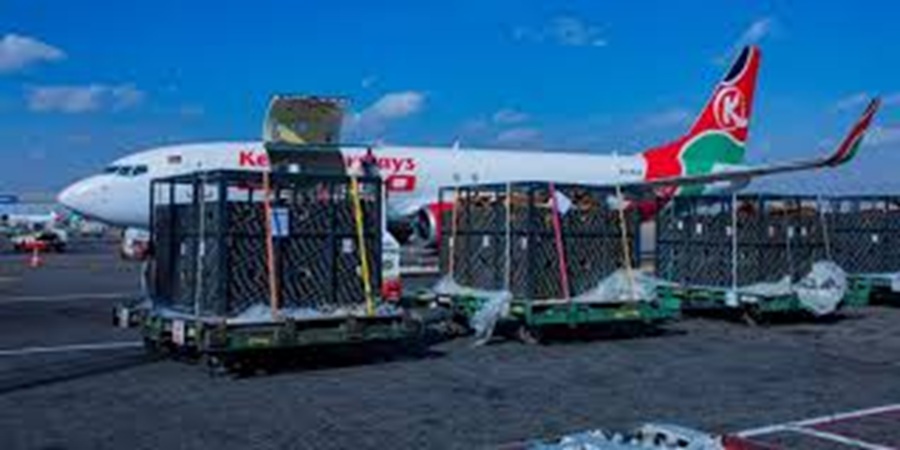 Kenya Airways to Transports over 50 Cows from Nairobi to Lagos